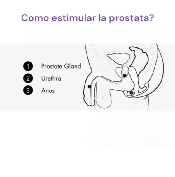 como estimular prostata